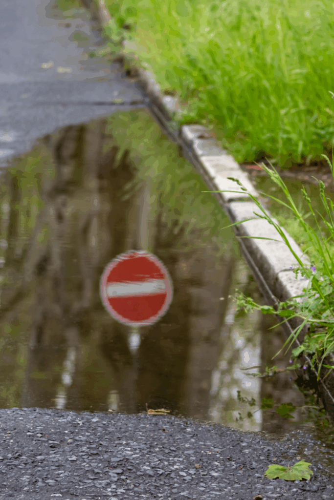 Garden Design 101: A Beginner’s Guide to Small Outdoor Spaces