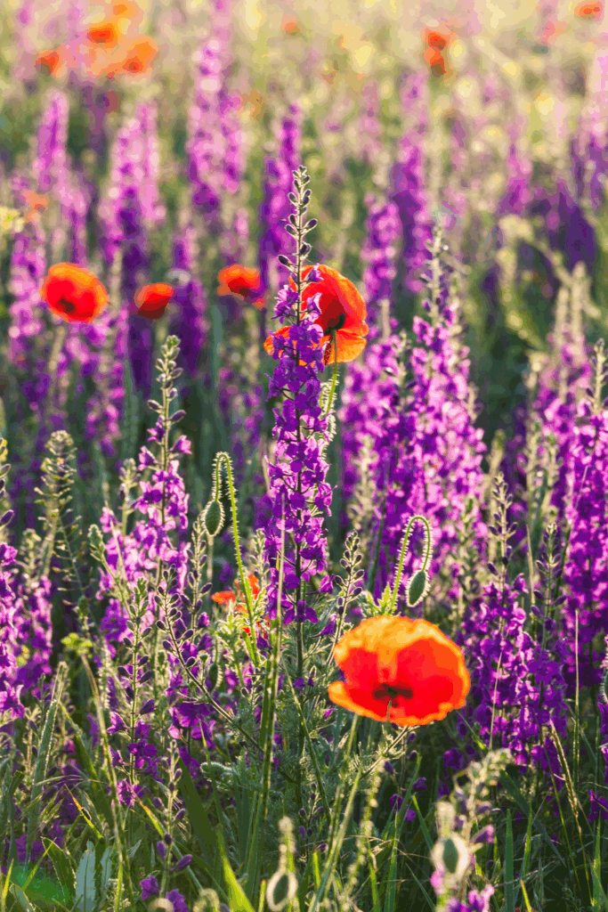 Garden Design 101: A Beginner’s Guide to Small Outdoor Spaces