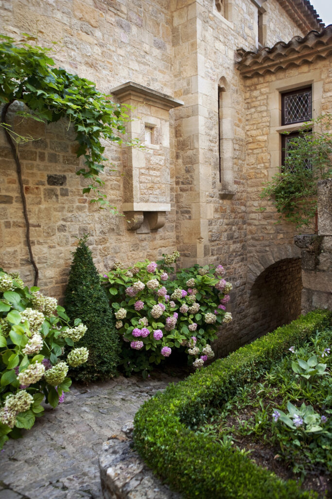 Boxwoods & Structure: The Quiet Backbone of Tiny Gardens
