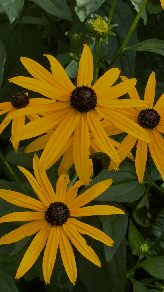 How to Use Cozy Textures for Fall Garden Decor in a Small Space