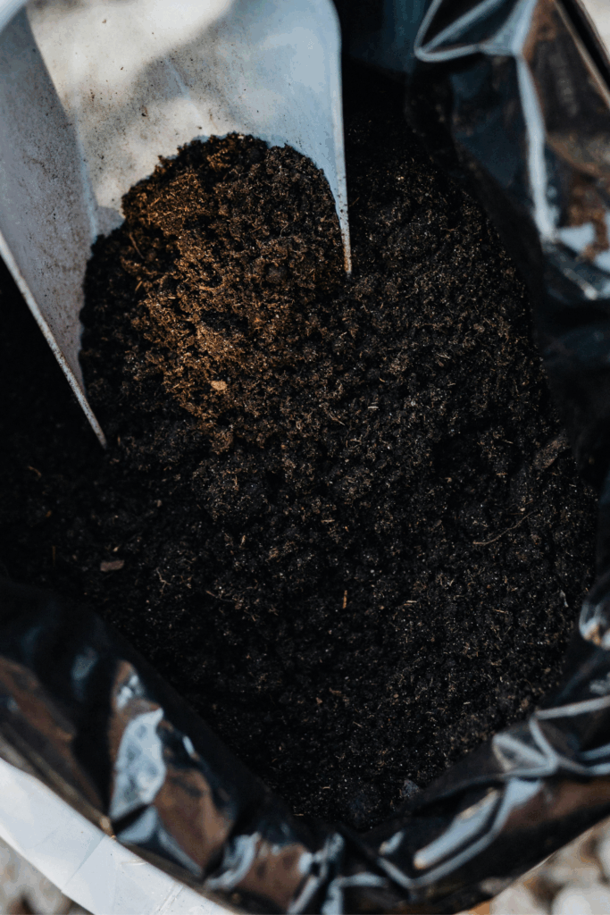 How to Design a Small Front Garden (Beginner Edition)