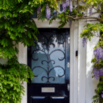 7 Steps to Designing a Small Front Garden (What I Wish I Knew)