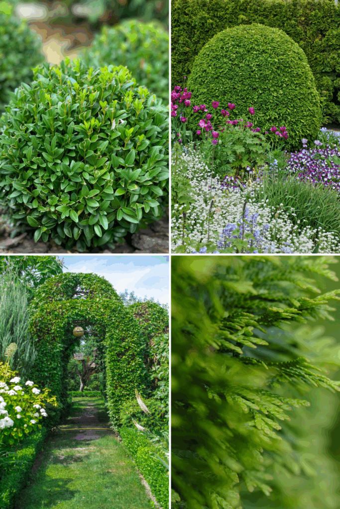 How to Design a Small Front Garden (Beginner Edition)