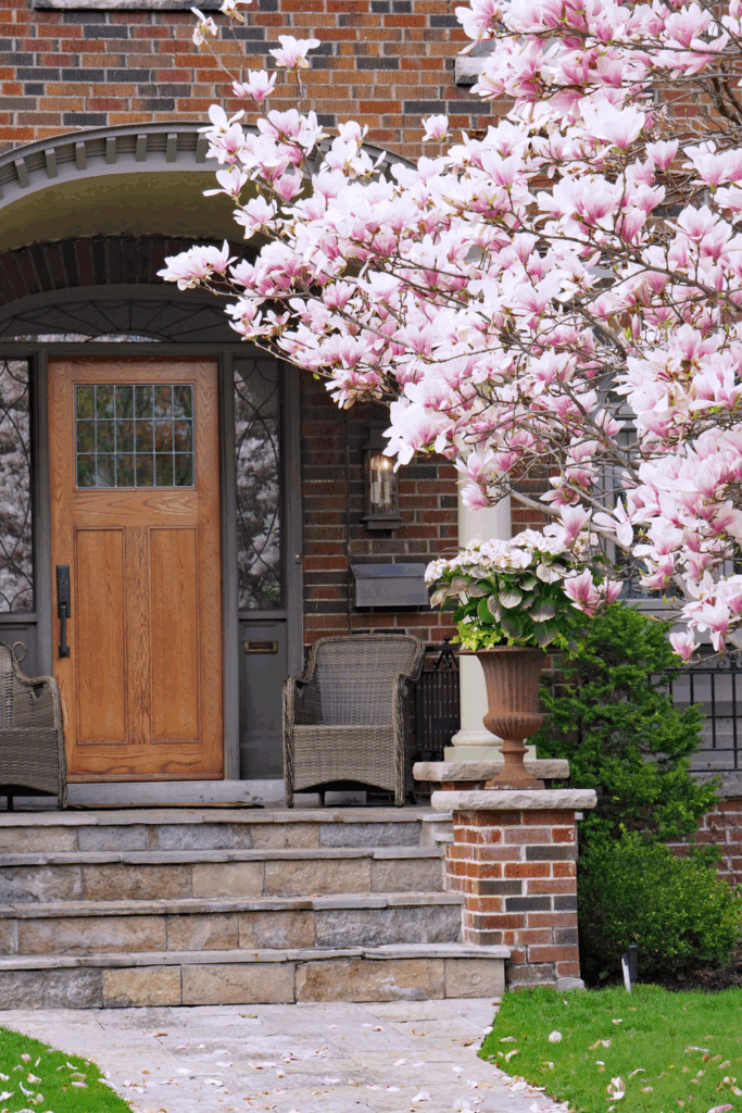 How to Design a Small Front Garden (Beginner Edition)