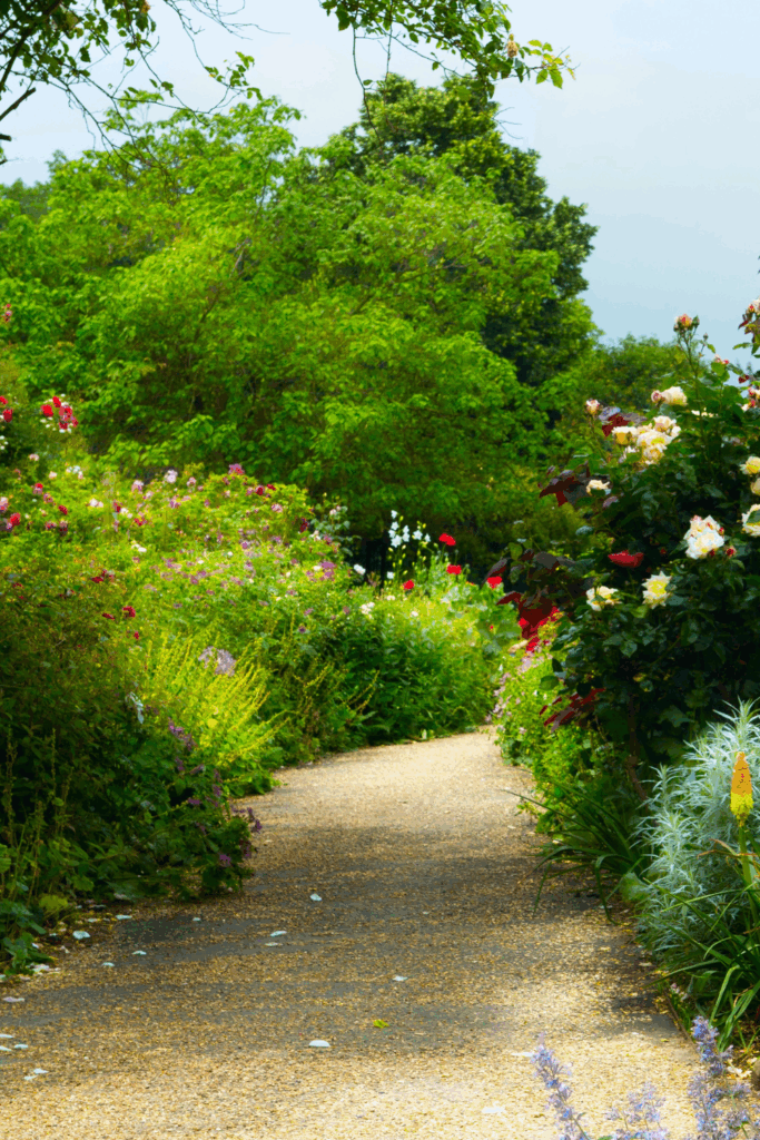 Small Cottage Garden Layout for a Front Yard
