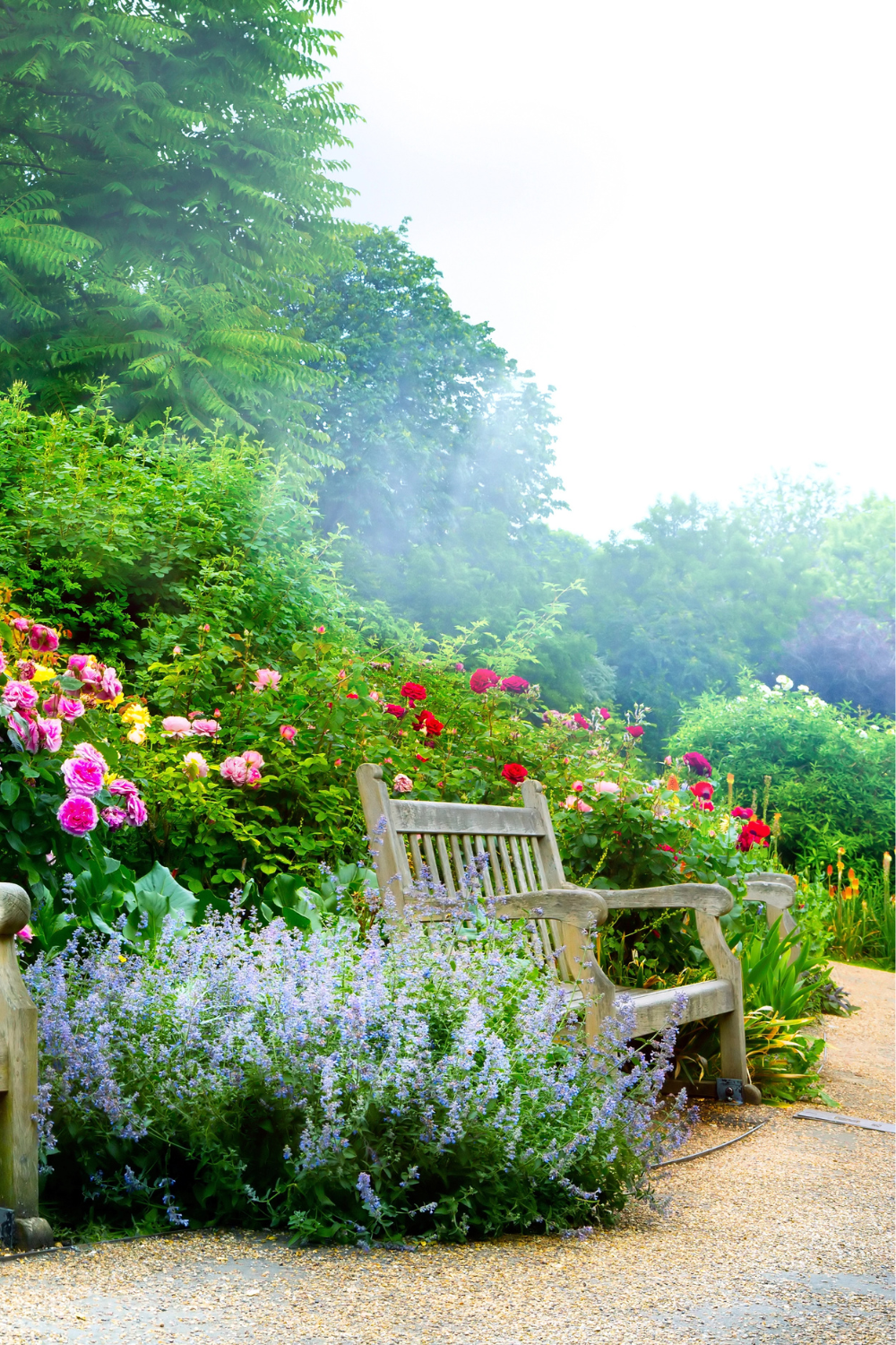 Small Cottage Garden Layout for a Front Yard