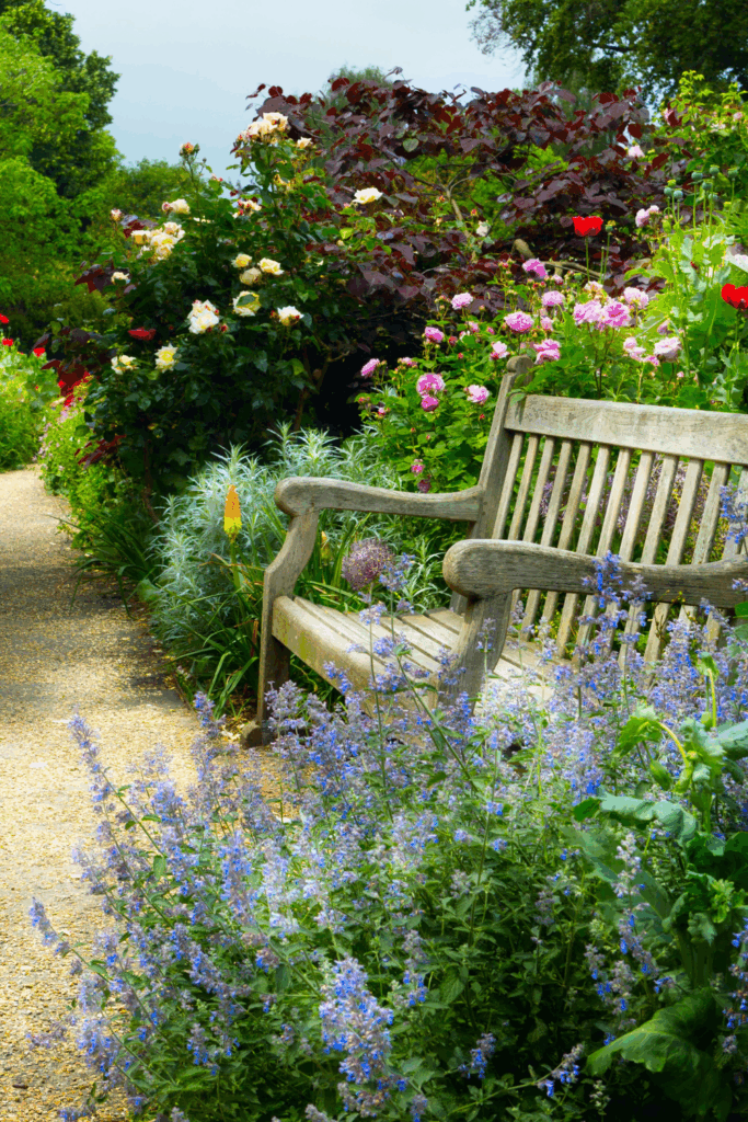 Small Cottage Garden Layout for a Front Yard