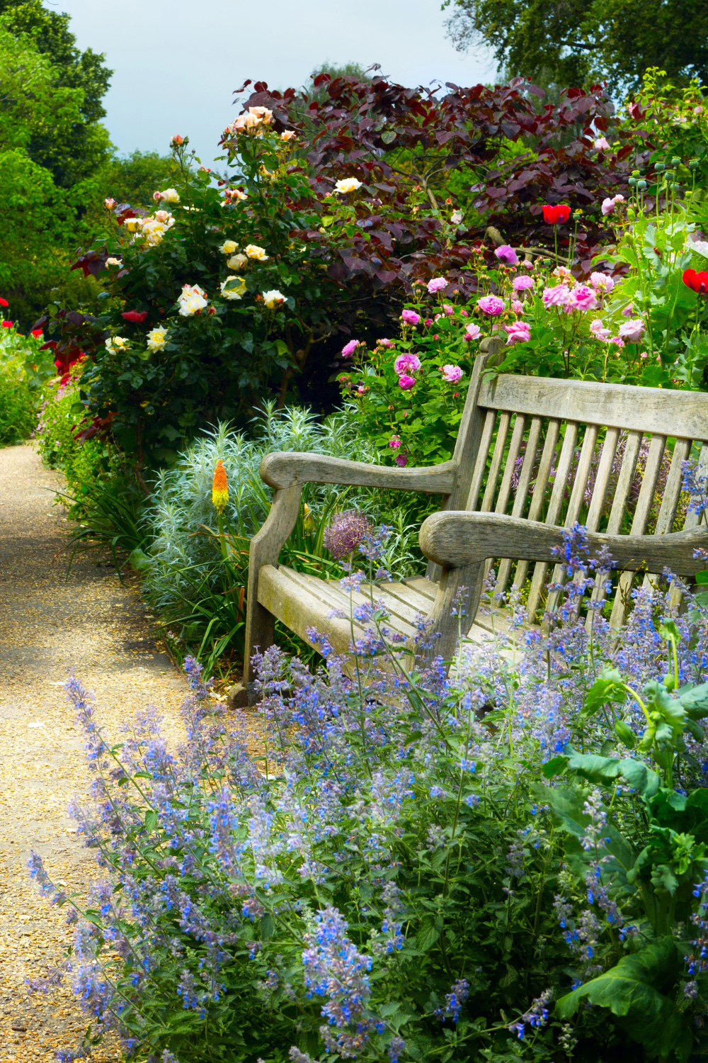 Small Cottage Garden Layout for a Front Yard
