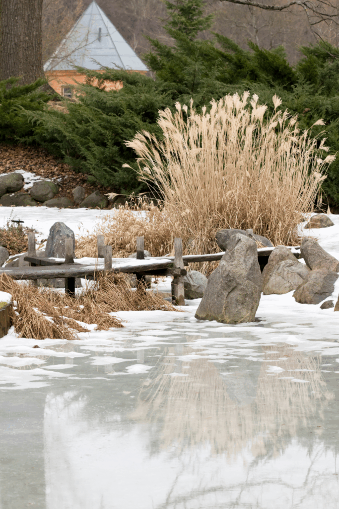 Winter Cottage Garden Ideas to Keep Your Yard Beautiful All Season