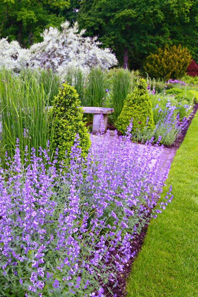 The Small-Space Design Rules Behind Every Classic Cottage Garden