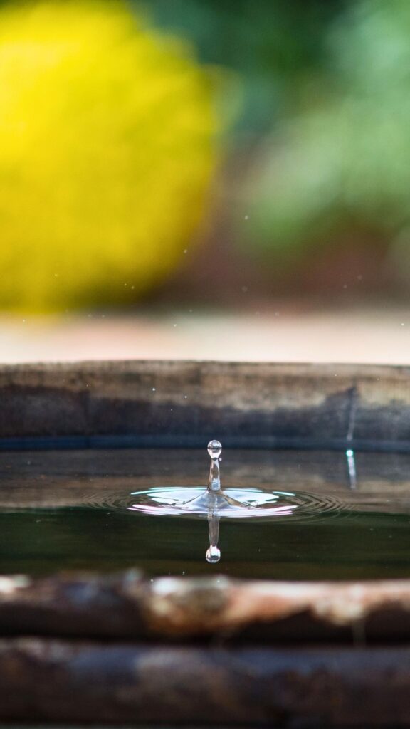 water features in small gardens