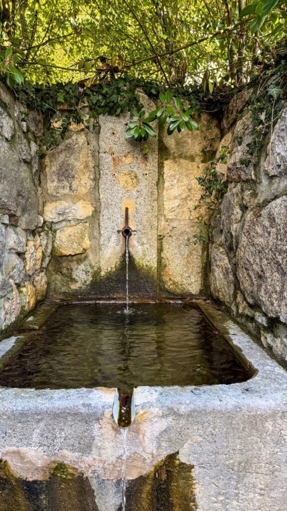 water features for small gardens