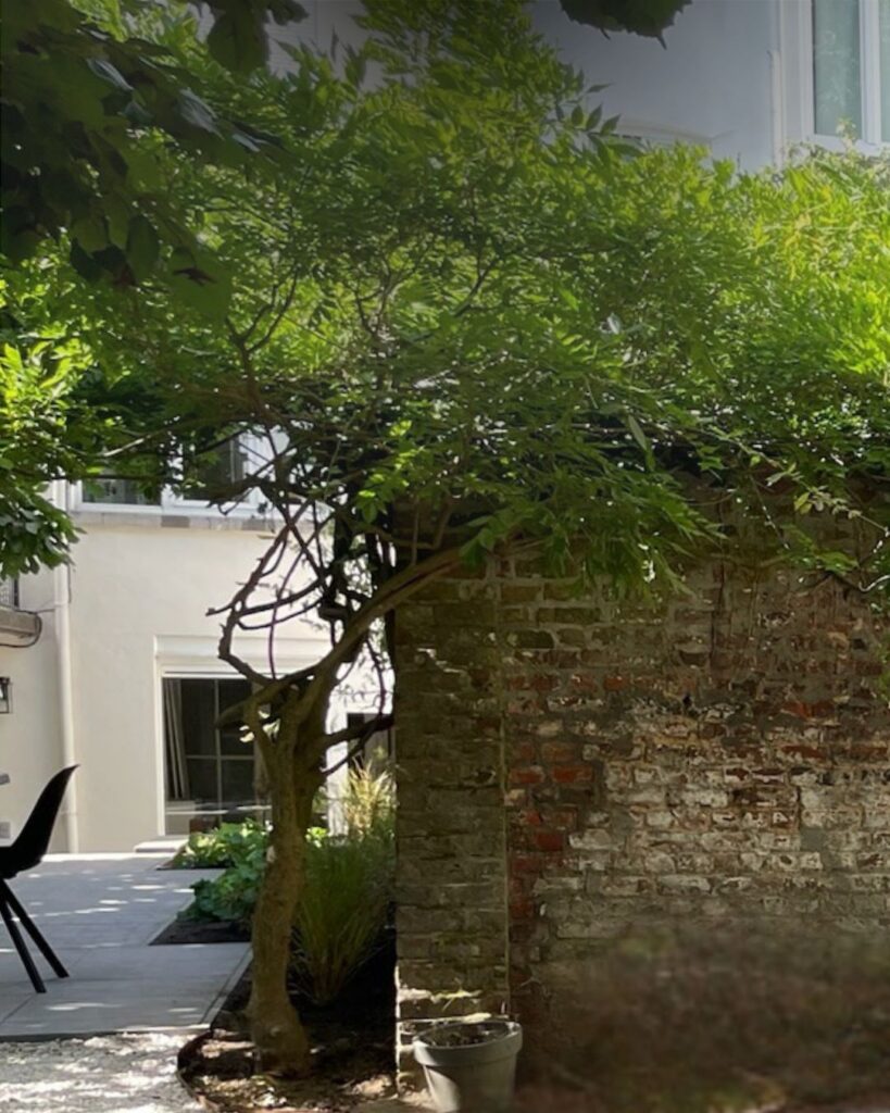 Thresholds in Small Gardens