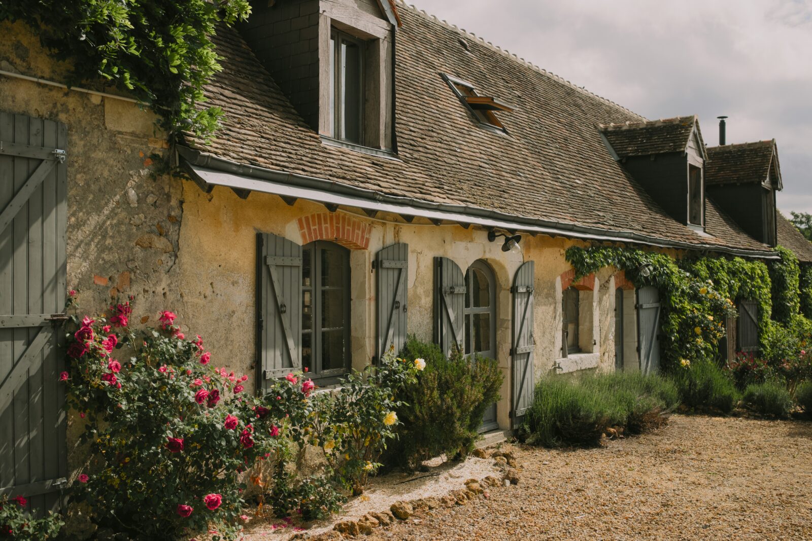 How to Make Your Garden Feel Like the South of France