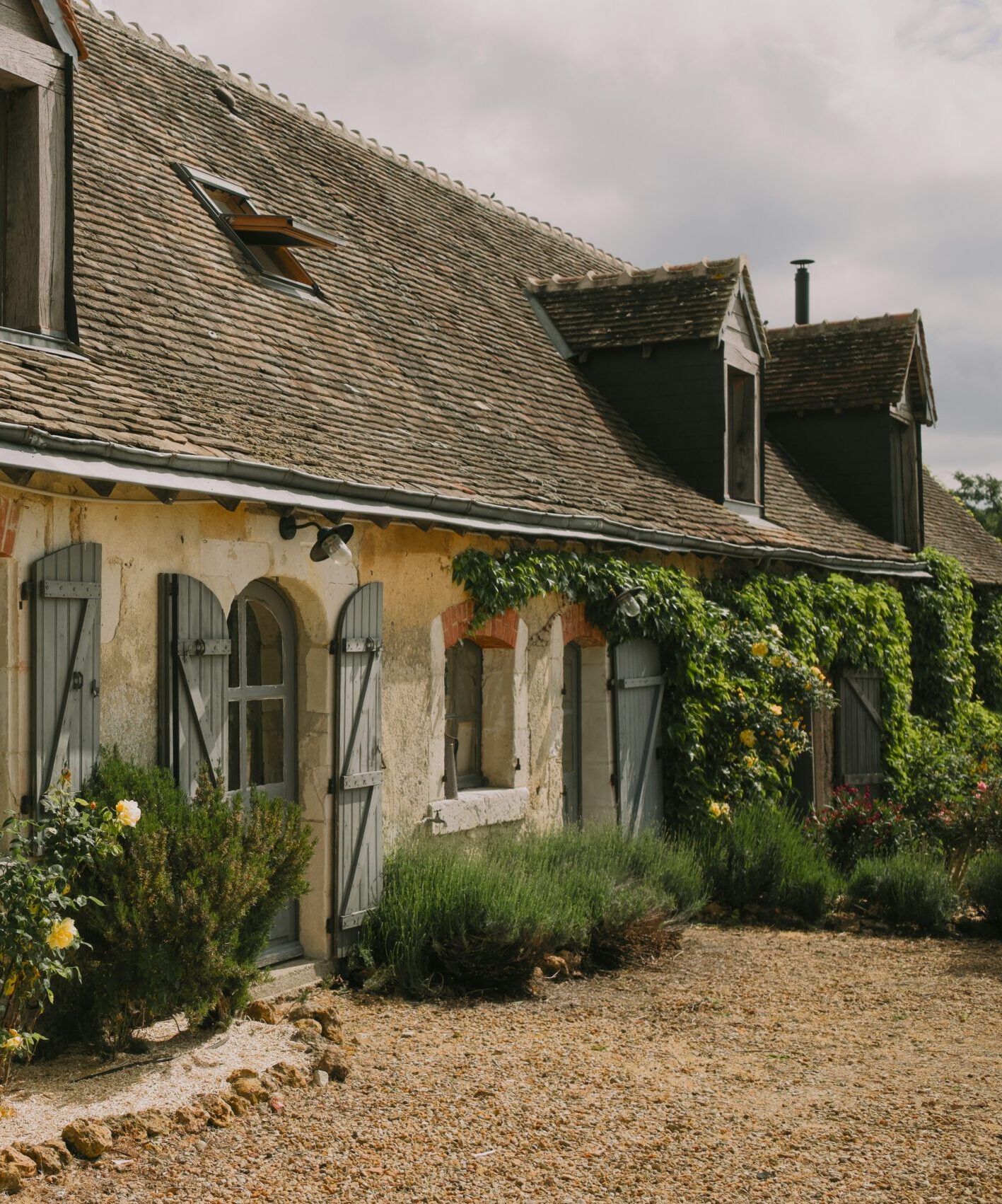 How to Make Your Garden Feel Like the South of France