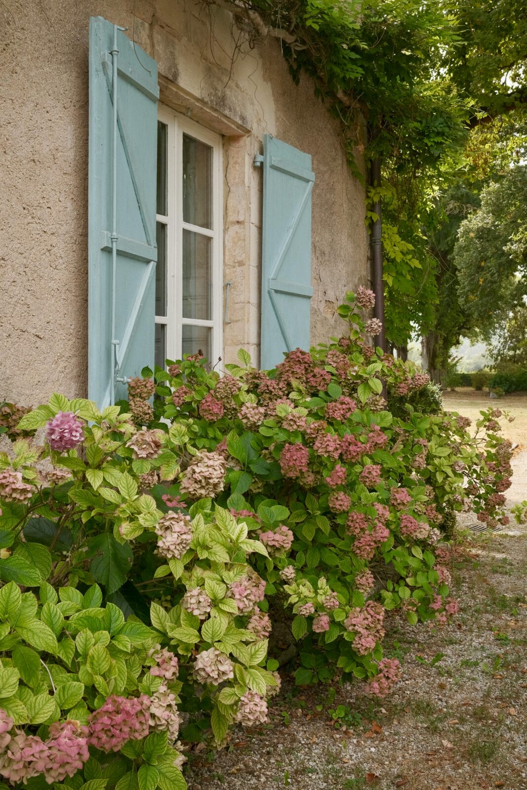 How to Make Your Garden Feel Like the South of France