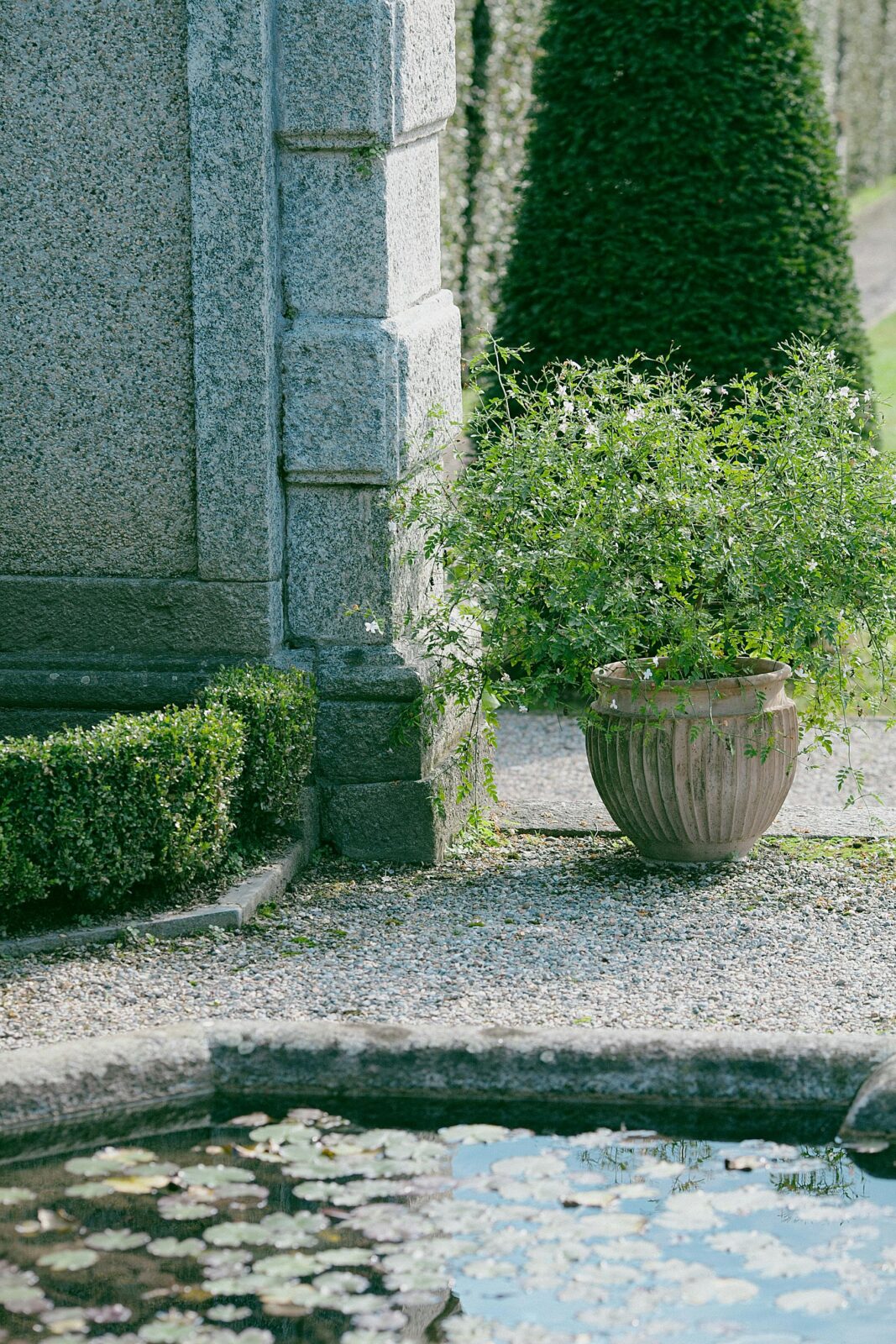 Serene outdoor garden with vintage stone wall, potted plant, and tranquil water feature in daylight.