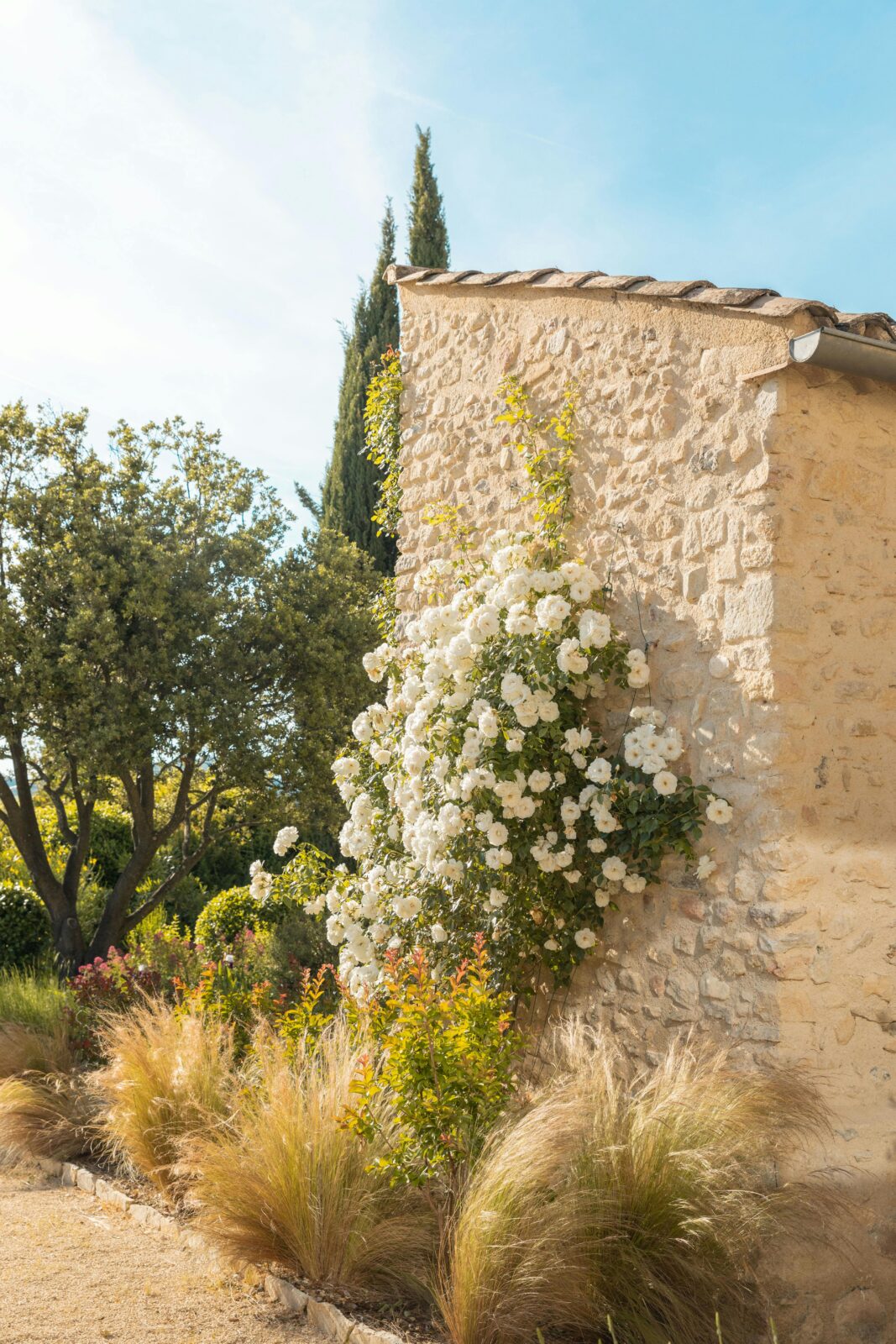 How to Make Your Garden Feel Like the South of France